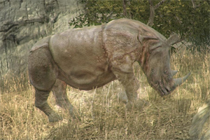 С виду большое животное, но при правильно тактике легко победить, к носорогу нужно подходить только сзади, если вы не хотите получить серьезные повреждения.